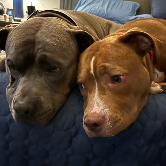 Meet your Posher, Cindy - Picture 6 of 7